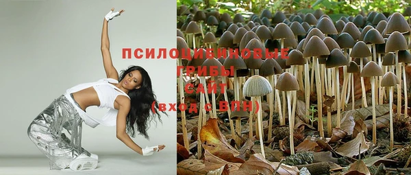шишки Богданович