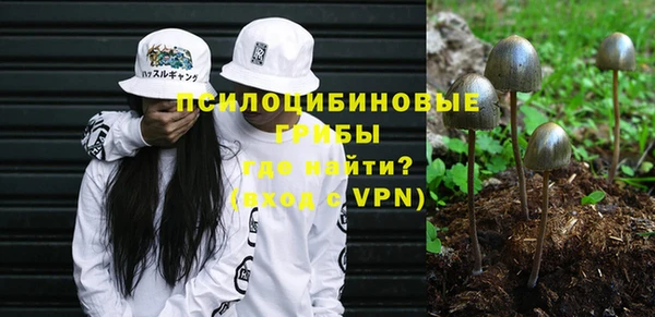 шишки Богданович