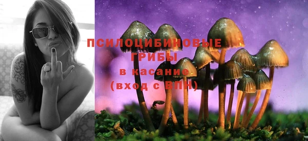 шишки Богданович