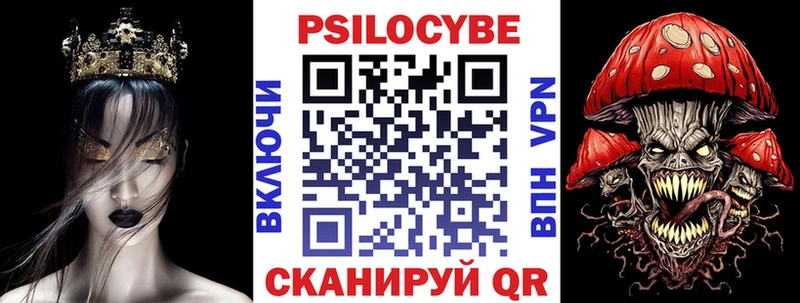 где купить наркоту  Гусев  Галлюциногенные грибы Psilocybine cubensis 